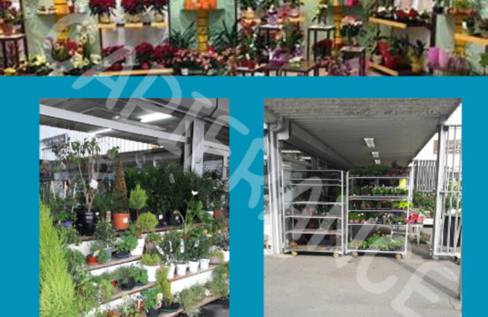 Fonds de commerce à vendre MONTIGNY EN OSTREVENT (59) — photo 2
