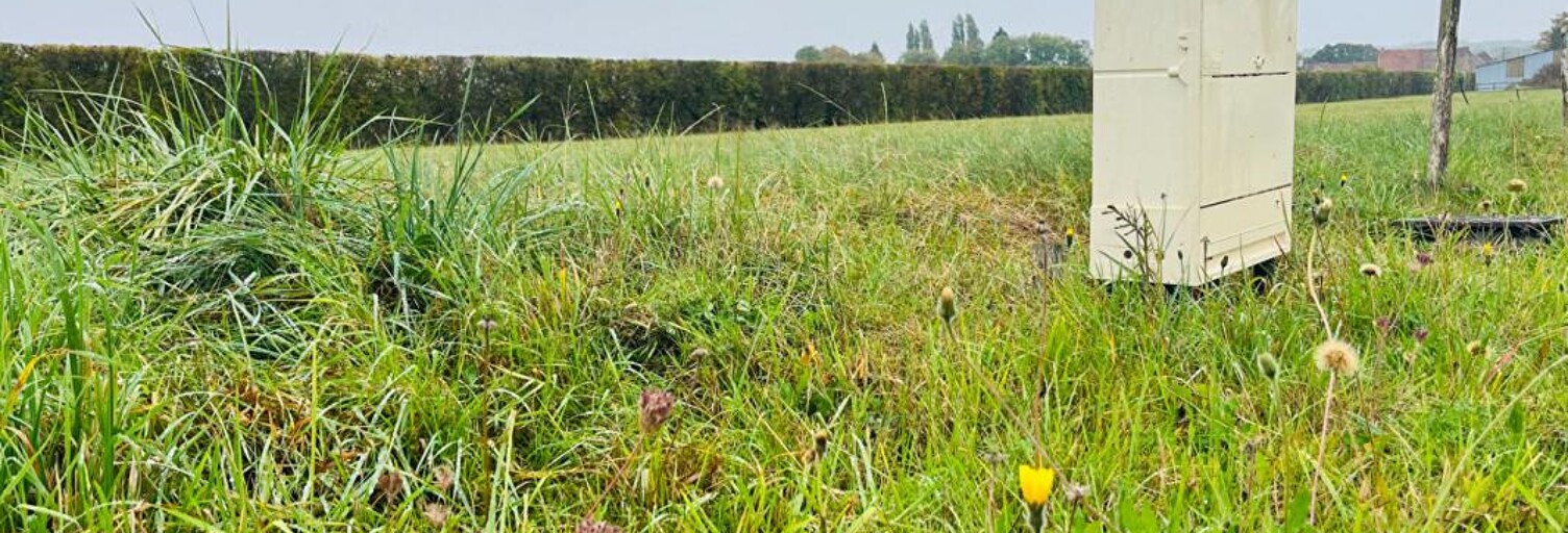 Local industriel  948 m² à vendre à Nécy (61160)