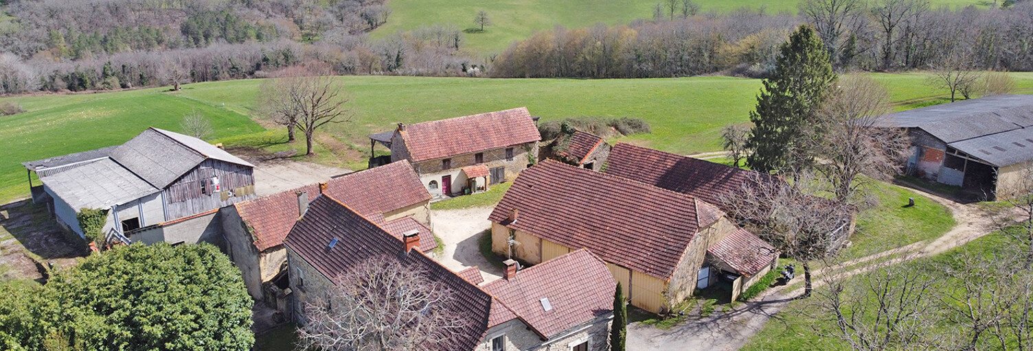 Maison 9 Pièces 231 m² à vendre à Tamniès (24620)