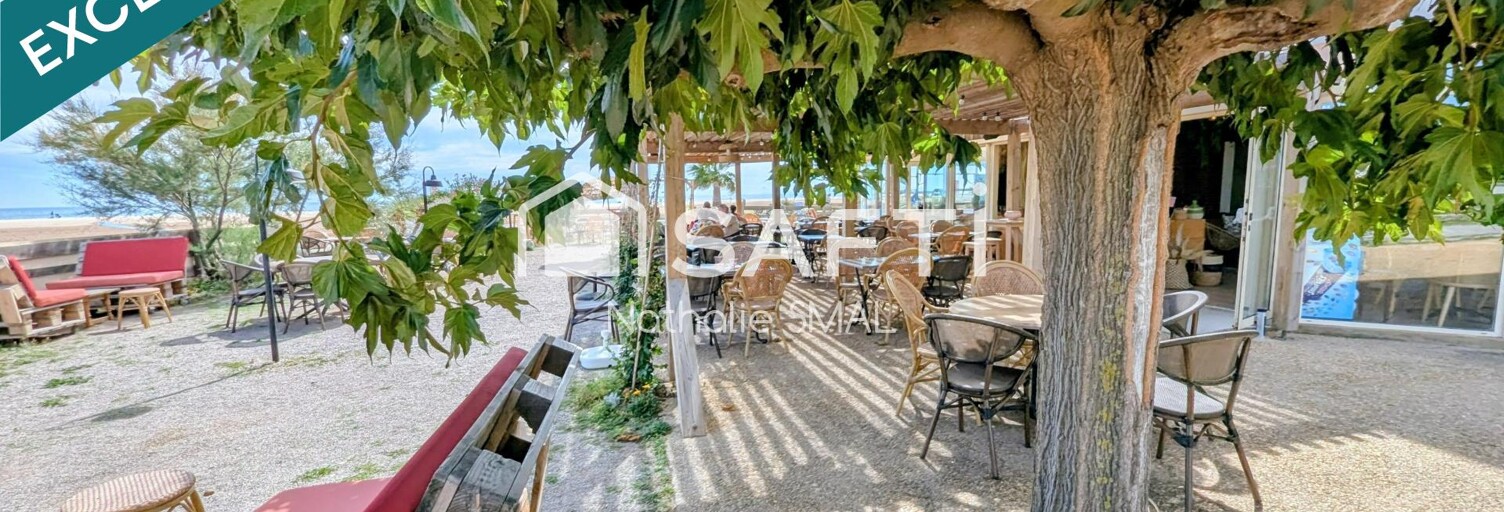 Commerce  239 m² à vendre à Fleury (11560)