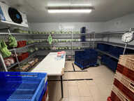 Local professionnel Montolivet 13012 — photo 3