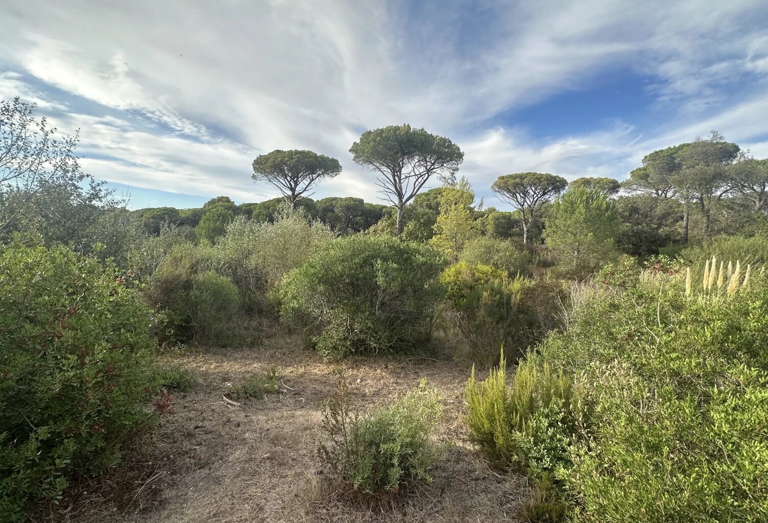 EXCLUSIVITÉ – FRÉJUS – TERRAIN LIBRE CONSTRUCTEUR VIABILISÉ AVEC PERMIS DE CONSTRUIRE — photo 1