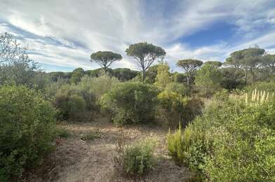Terrain  240000 €