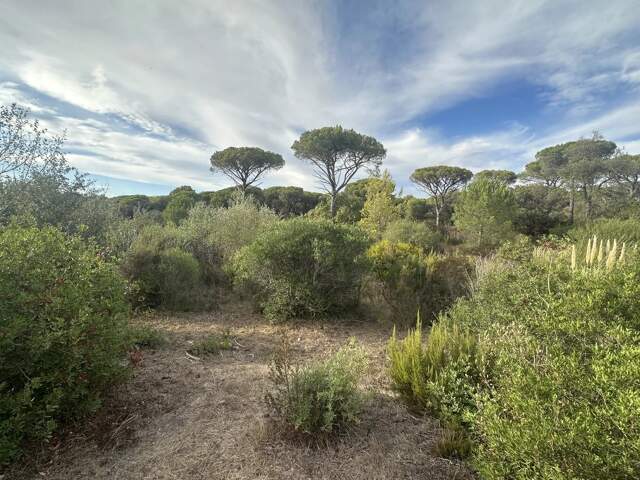 EXCLUSIVITÉ – FRÉJUS – TERRAIN LIBRE CONSTRUCTEUR VIABILISÉ AVEC PERMIS DE CONSTRUIRE — photo du bien