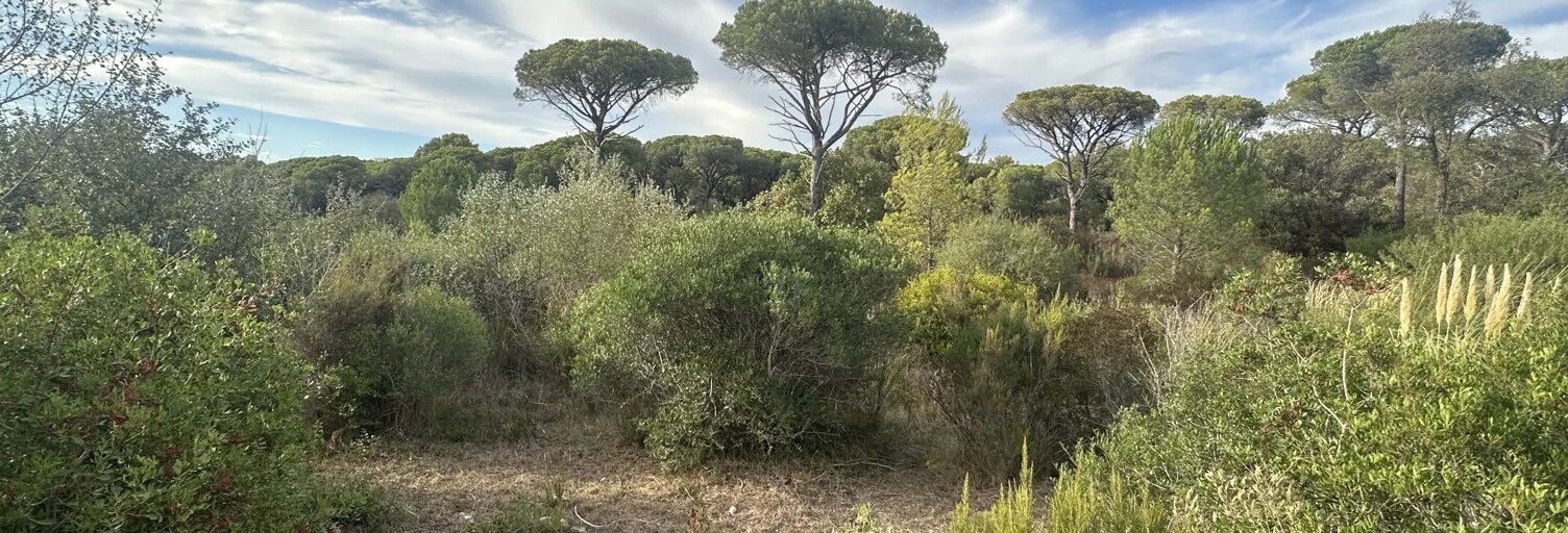 Terrain  519 m² à vendre à Fréjus (83600)