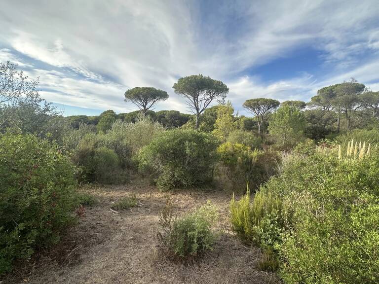 EXCLUSIVITÉ – FRÉJUS – TERRAIN LIBRE CONSTRUCTEUR VIABILISÉ AVEC PERMIS DE CONSTRUIRE — photo 1
