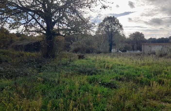 belle bâtisse charentaise à rénové entièrement  sur un terrain de 1760 m2 environ 400 m2 de bâtisse — photo 5