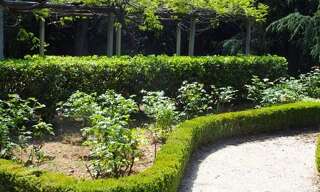 Appartement 3 Pièces 84 m² à vendre à Nice (06000)