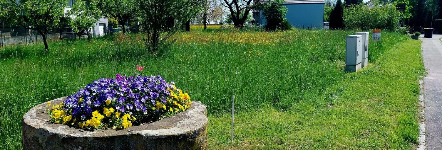 Terrain  300 m² à vendre à Bernolsheim (67170)