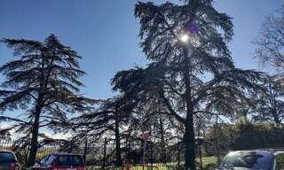 Appartement 4 Pièces 84 m² à vendre à Vénissieux (69200)