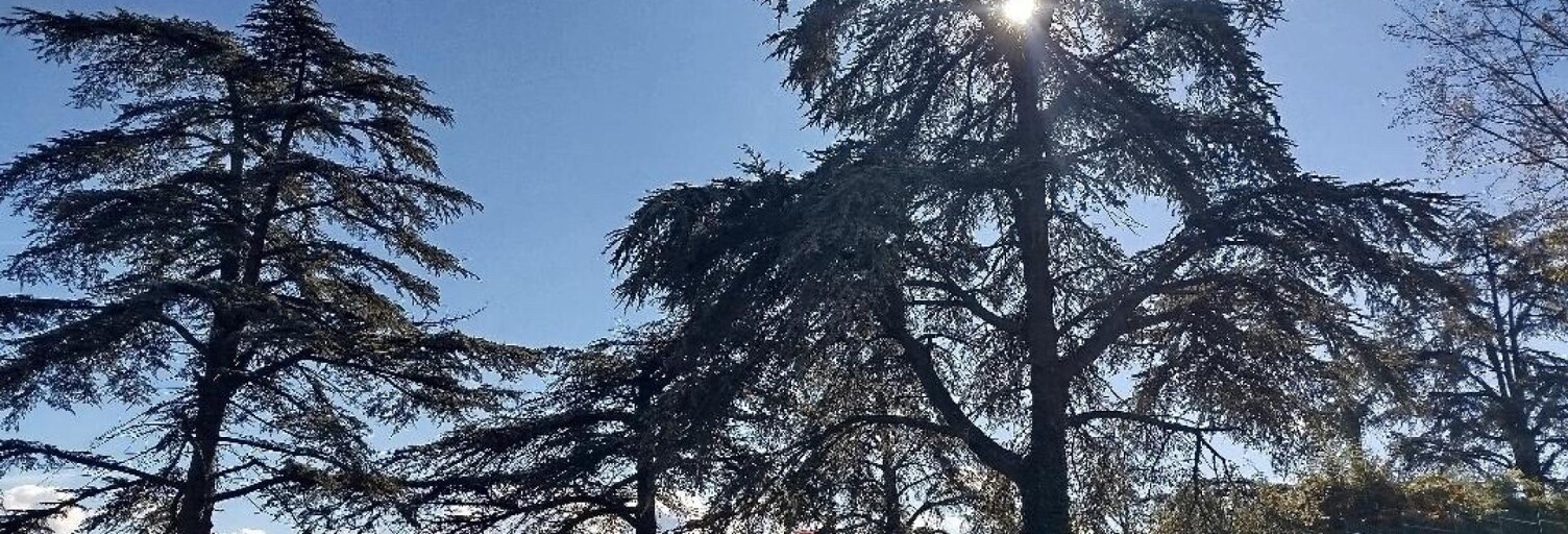 Appartement 4 Pièces 84 m² à vendre à Vénissieux (69200)