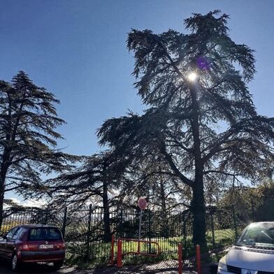 Appartement 4 pièces 125000 €