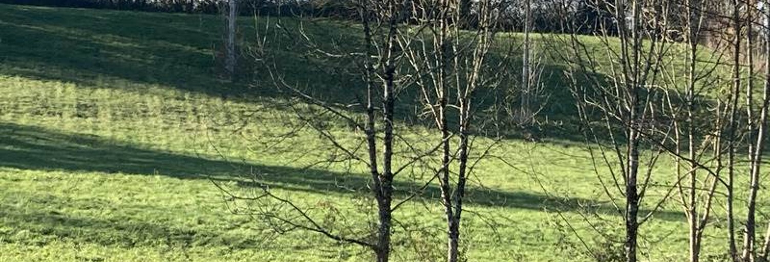 Terrain  6950 m² à vendre à Meyssac (19500)