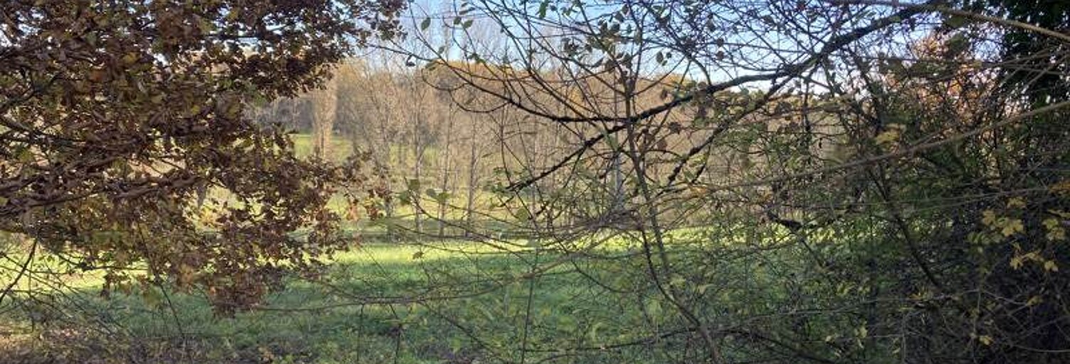 Terrain  6950 m² à vendre à Meyssac (19500)