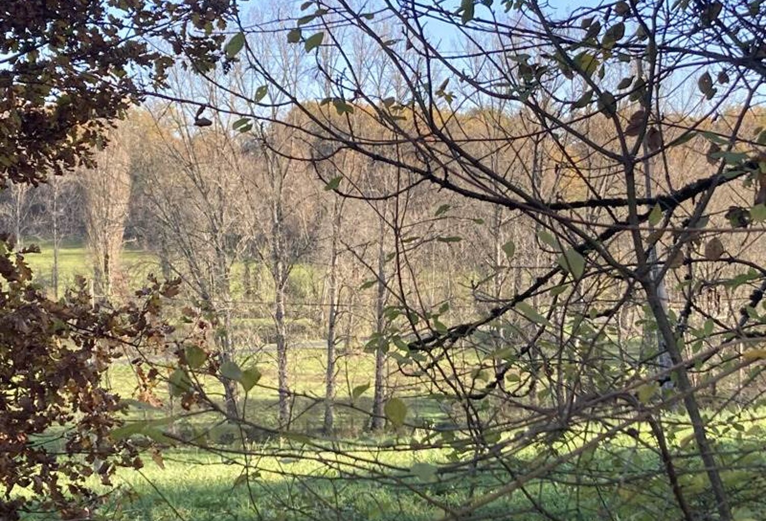 Terrain à bâtir de 0 pièces principales — photo 1
