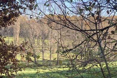 Terrain  56000 €