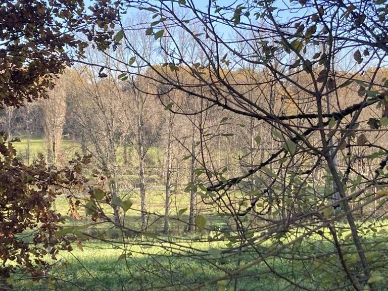 Terrain à bâtir de 0 pièces principales — photo 1