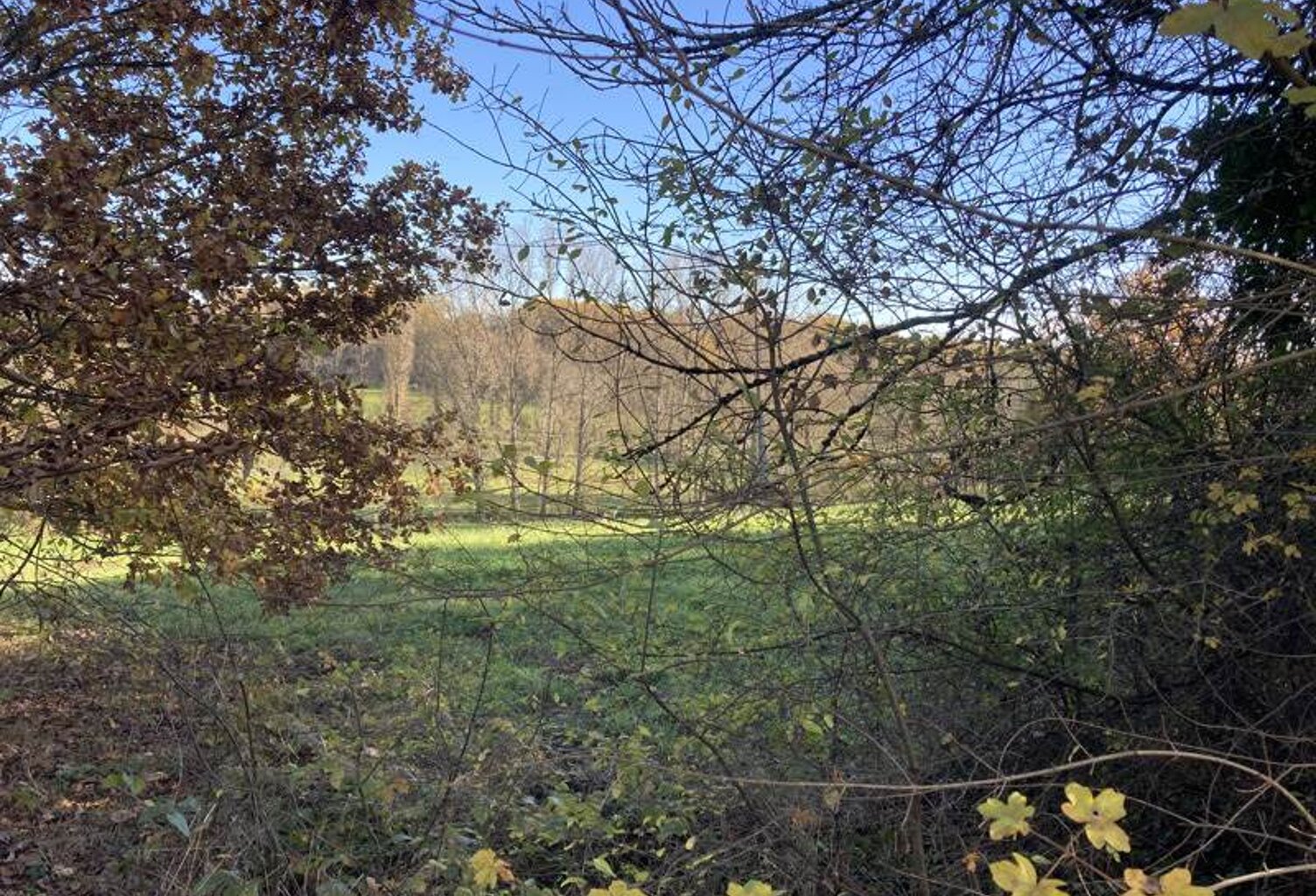 Vente terrain  3475 m² Meyssac (19500) — photo 1