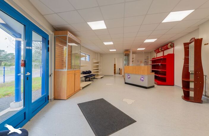 Vente immeuble   Saint-Priest-de-Gimel (19800) — photo 5
