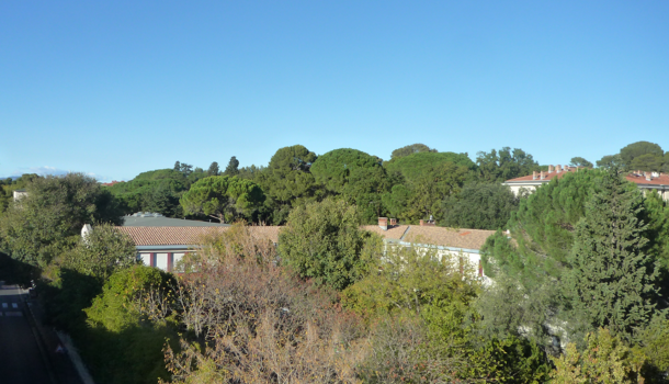 Appartement 5 pièces  à vendre Montpellier 34000