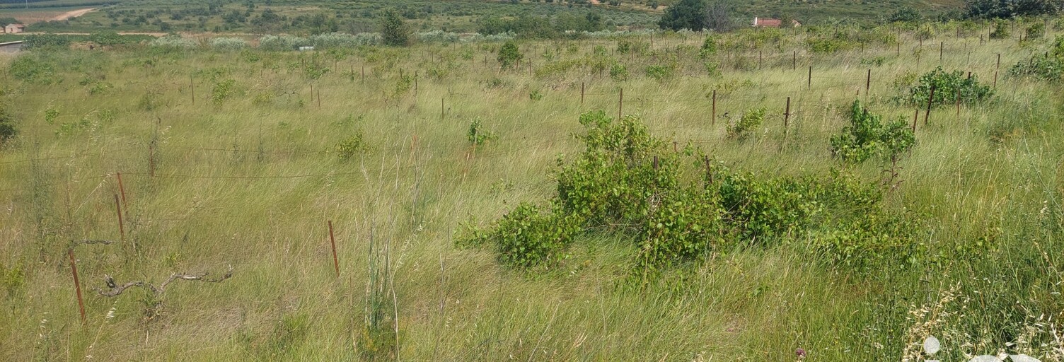 Terrain  4430 m² à vendre à Générac (30510)