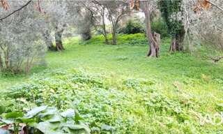 Terrain  1800 m² à vendre à Luri (20228)