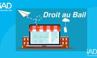 Commerce  25 m² à vendre à Rennes (35000)