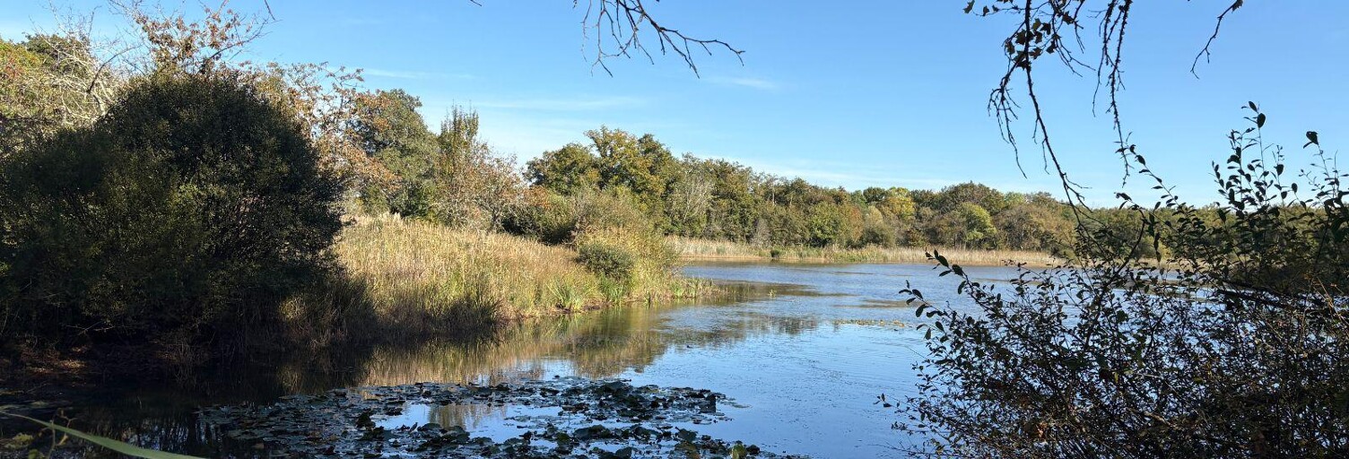 Maison  25 m² à vendre à Neuillay-les-Bois (36500)