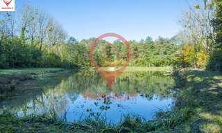 Terrain  9062 m² à vendre à Oizon (18700)