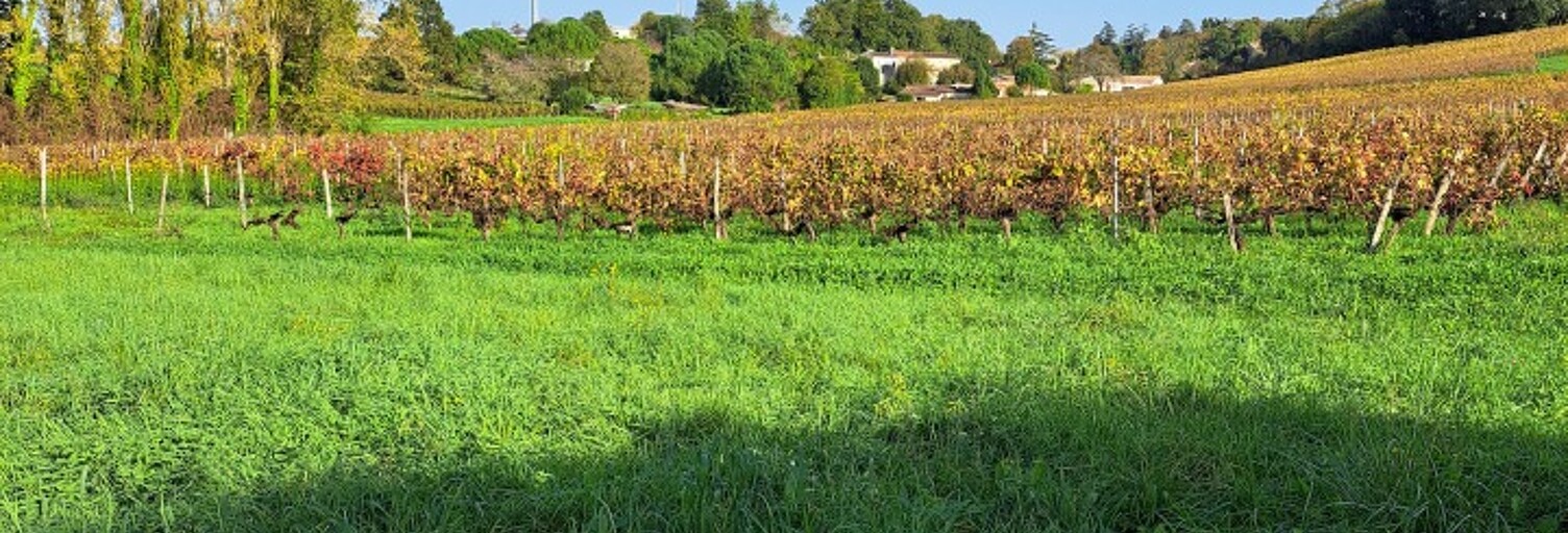 Terrain  412 m² à vendre à Asques (33240)