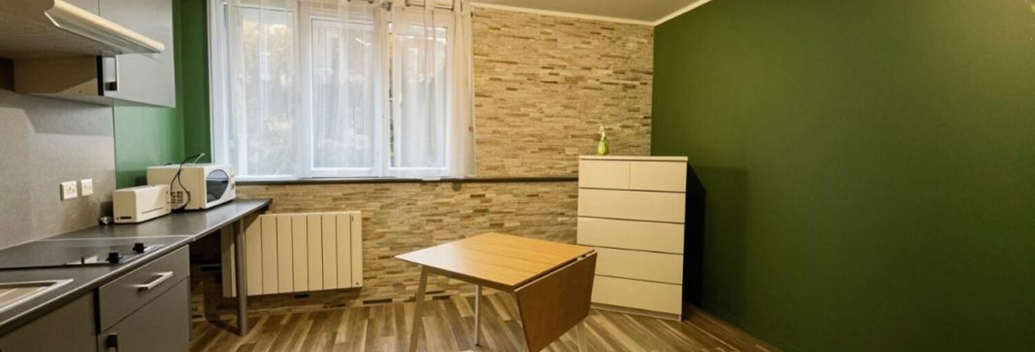 Appartement 1 Pièce 17 m² à louer à La Bresse (88250)