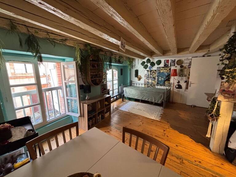 Appartement de Charme À Vendre T2 aux Carmes — photo 1
