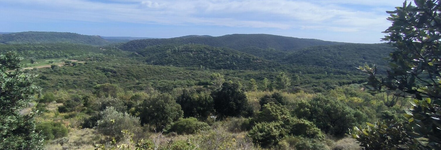 Terrain  38170 m² à vendre à Mourèze (34800)