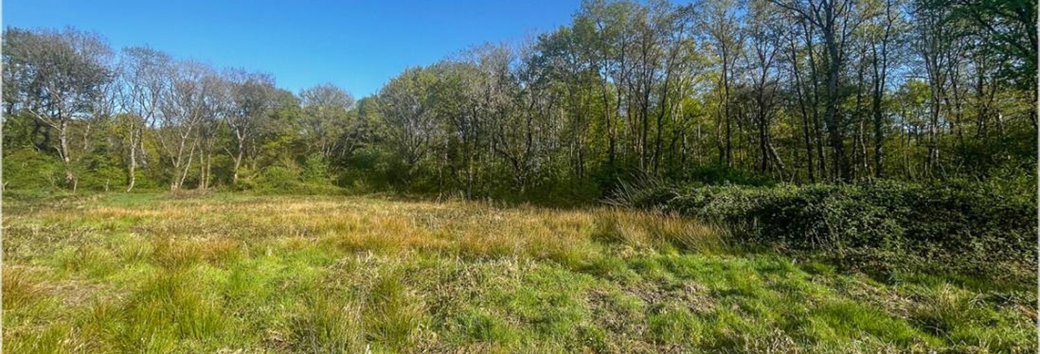 Terrain  6804 m² à vendre à Villefranche-sur-Cher (41200)