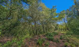 Terrain  8429 m² à vendre à Lorgues (83510)