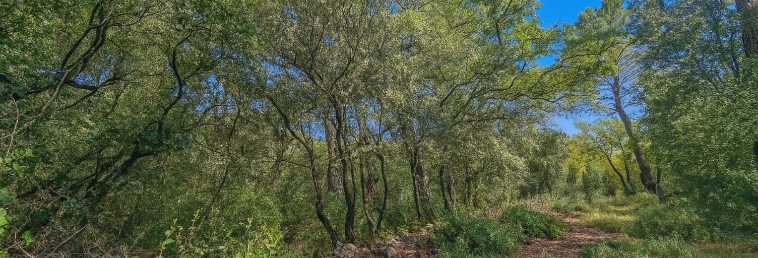 Terrain  8429 m² à vendre à Lorgues (83510)