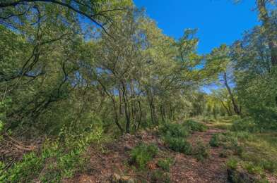 Terrain  17000 €