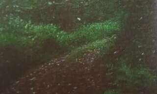 Terrain  20529 m² à vendre à La Trinité (97220)