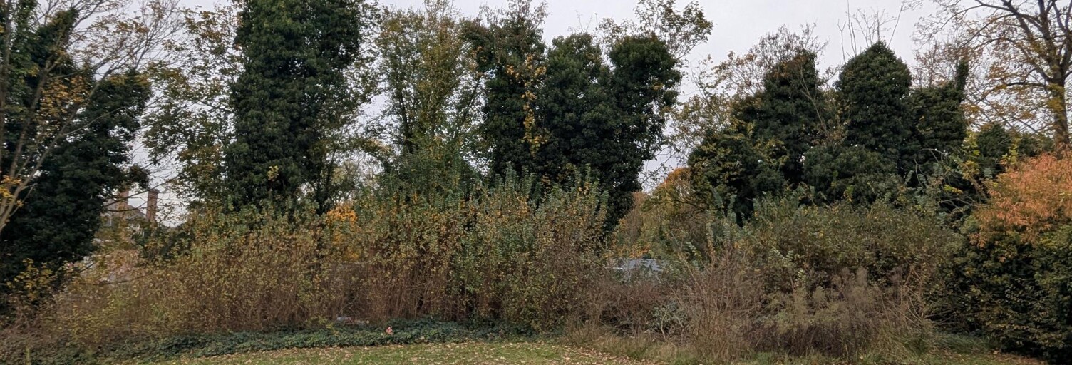 Terrain  453 m² à vendre à Flixecourt (80420)