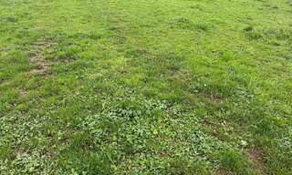 Terrain  790 m² à vendre à Candé (49440)