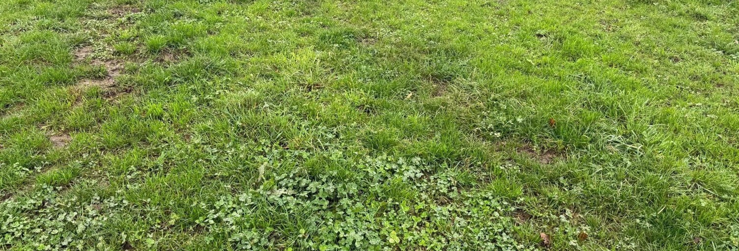 Terrain  790 m² à vendre à Candé (49440)