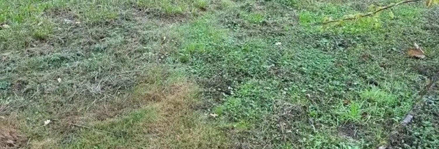 Terrain  790 m² à vendre à Candé (49440)