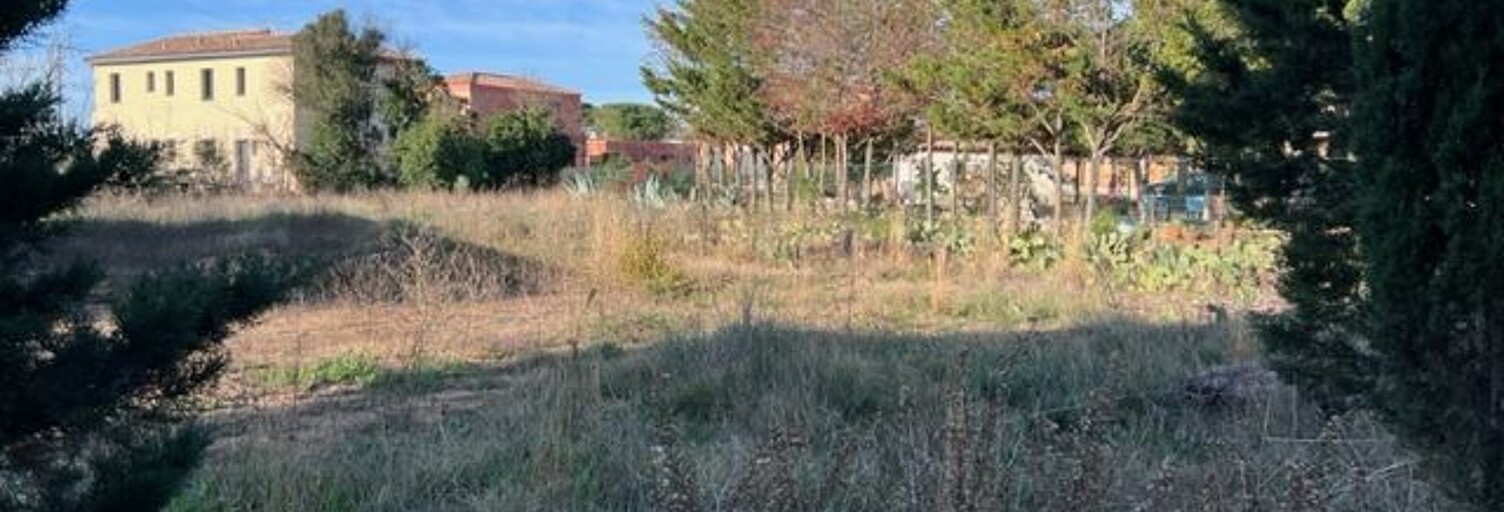 Terrain  1138 m² à vendre à Marseillan (34340)