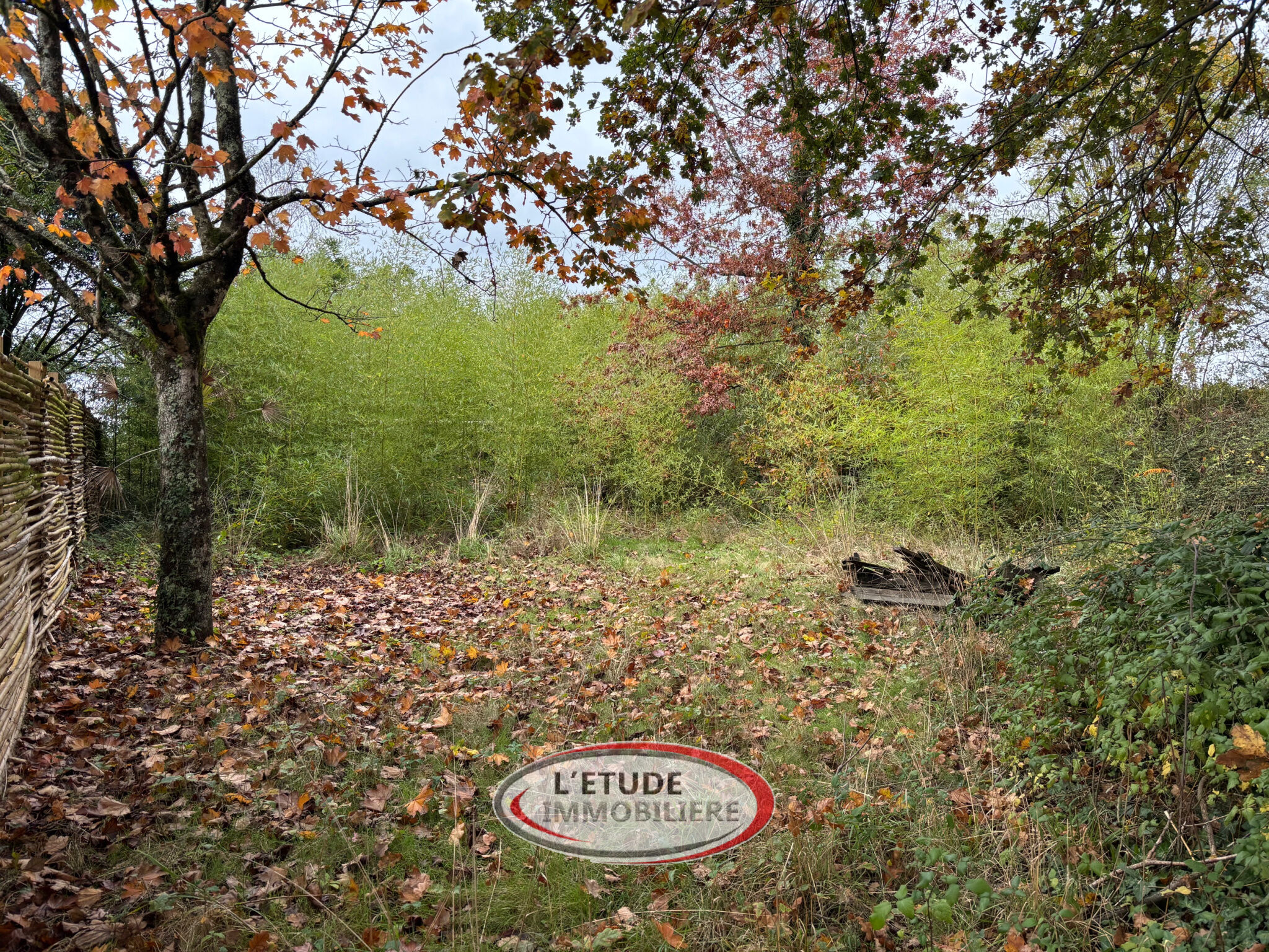 Agence immobilière de L'Etude Immobilière