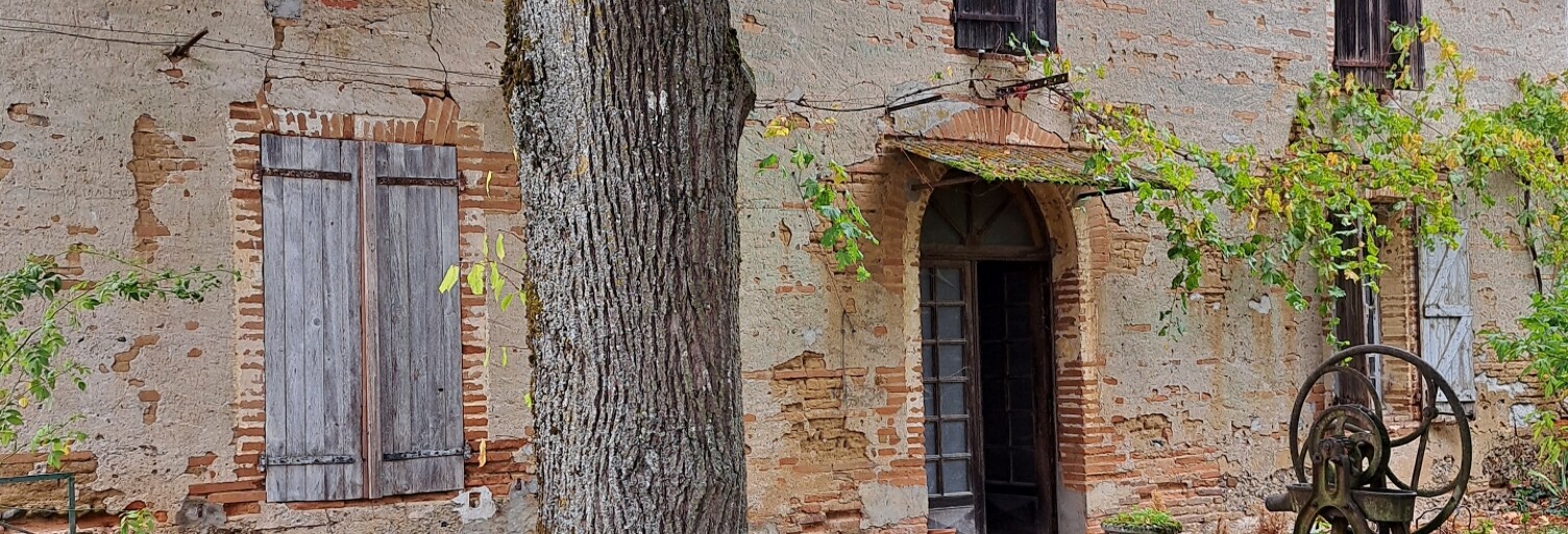 Maison 4 Pièces 304 m² à vendre à Saint-Nicolas-de-la-Grave (82210)