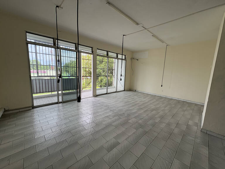 LOCAL PROFESSIONNEL AVENUE PATRICK SAINT ELOI LES ABYMES — photo 1