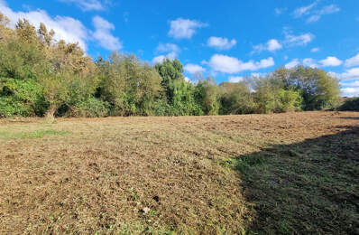 Terrain à bâtir 1126 m2 — photo du bien