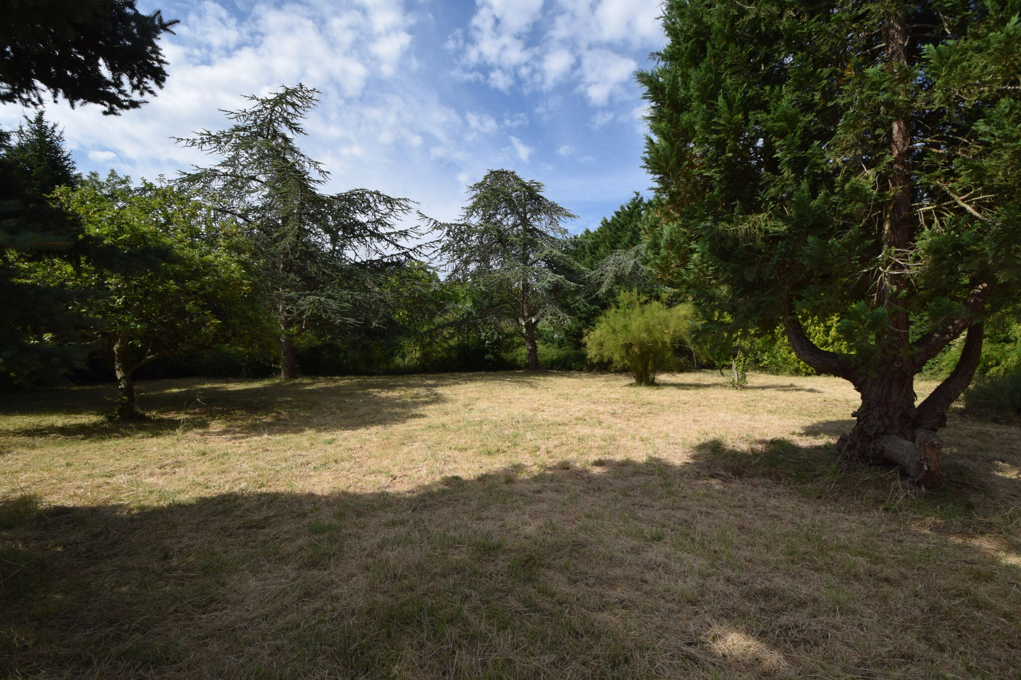 Terrain  à vendre Saint-Augustin 17570