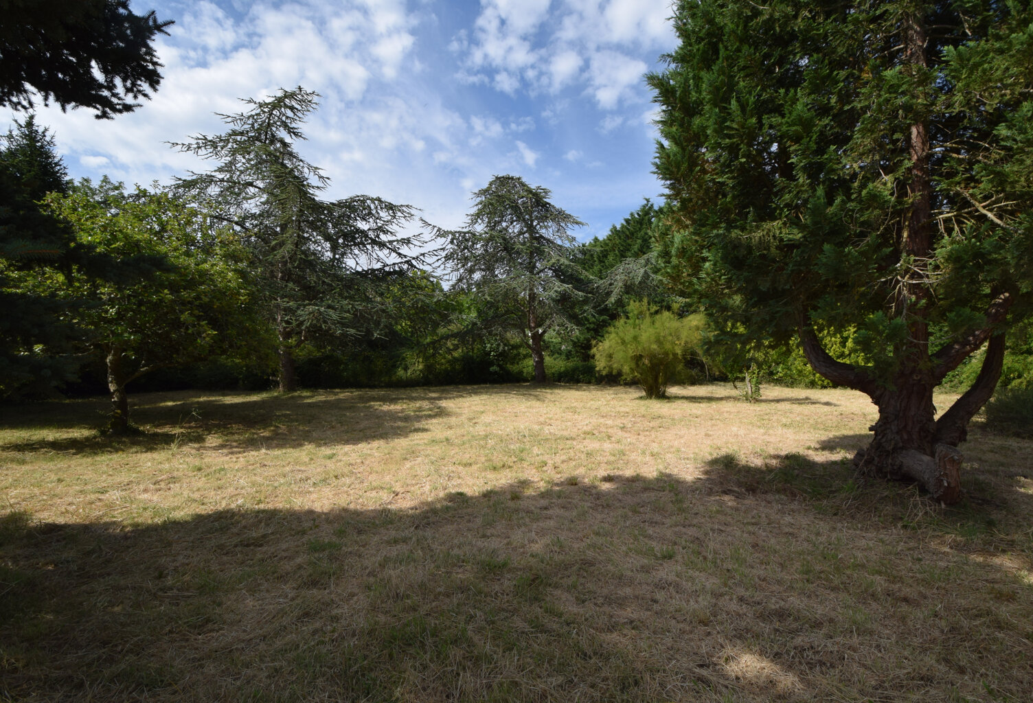 TERRAIN A BÂTIR - SAINT AUGUSTIN — photo 1