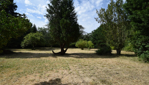 Terrain  à vendre Saint-Augustin 17570